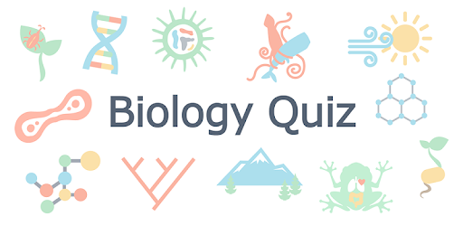 Type of Classification System Quiz