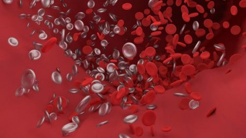 BLOOD CLOTTING (HAEMOSTASIS)