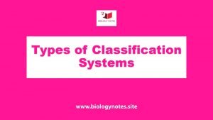 Types of Classification Systems