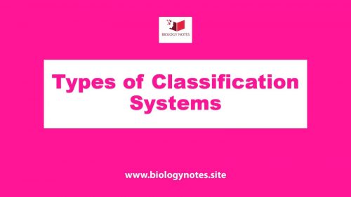 Types of Classification System