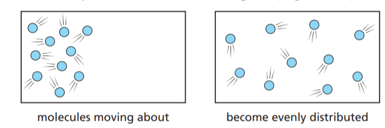 Diffusion – Movement of Substances