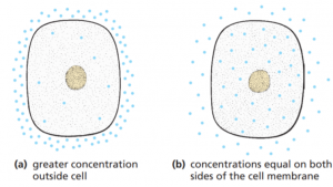 molecules entering cell by diffusion
