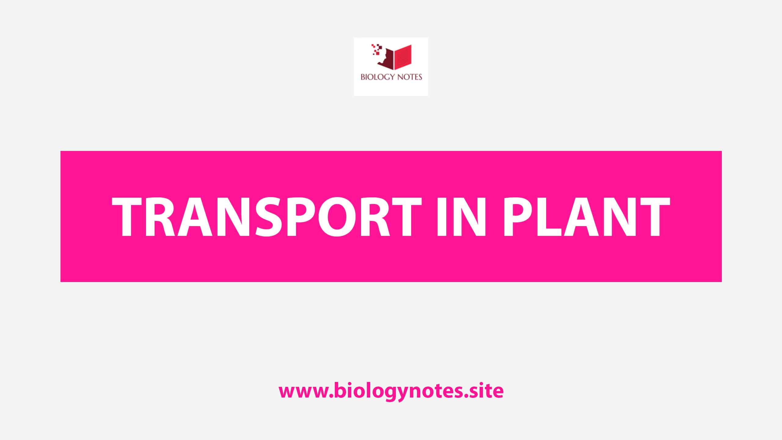 Quiz On Transport in plant