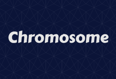 chromosome
