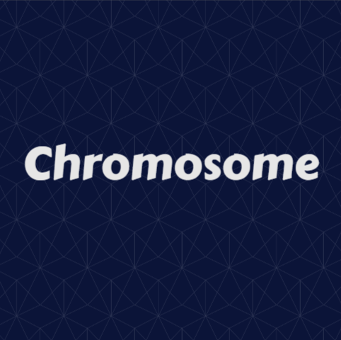 Chromosome