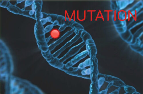 mutation
