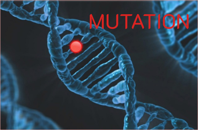 mutation