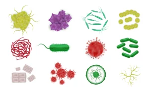 Microorganisms