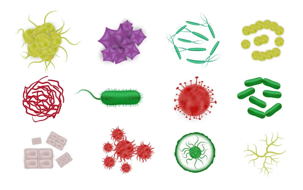 Microorganisms