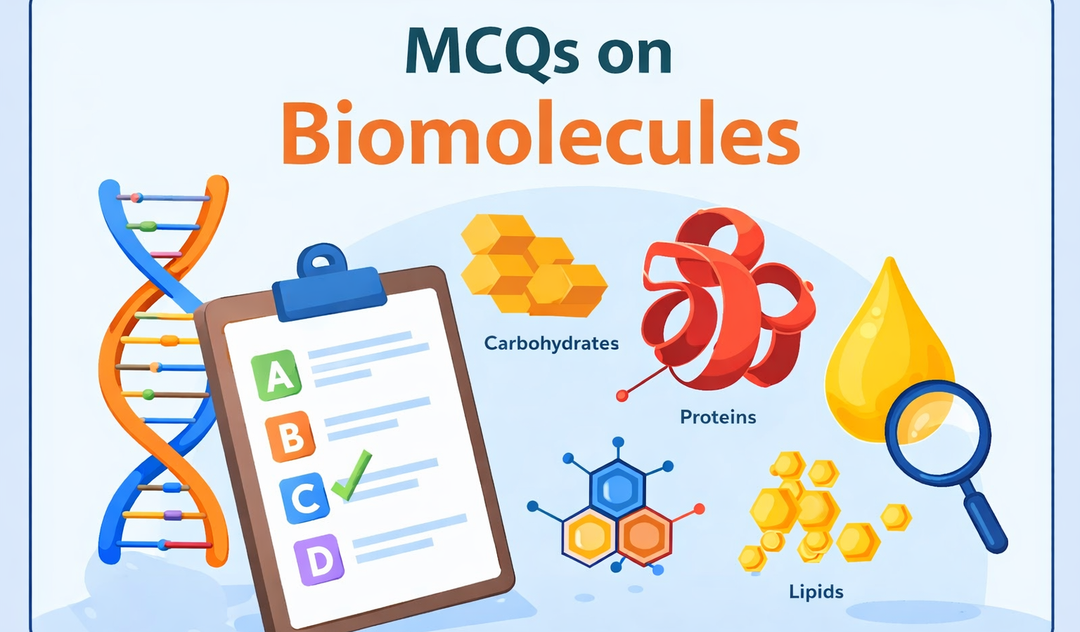 MCQs on Biomolecules (With Answers and Explanations)